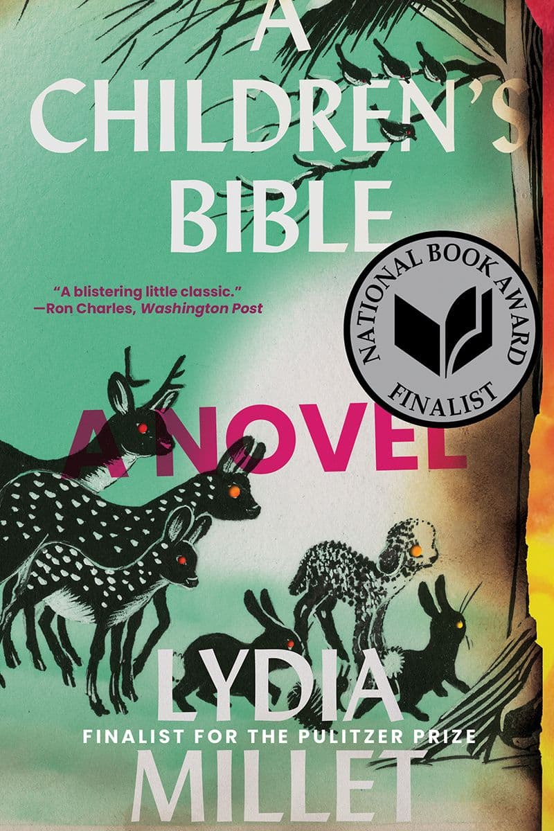 A Children's Bible book cover