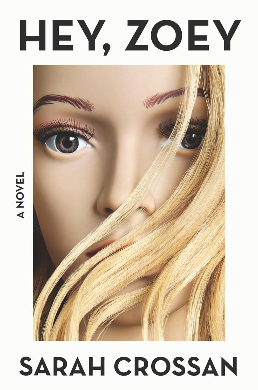 Hey, Zoey book cover