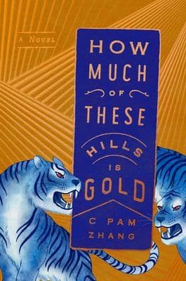 How Much of These Hills Is Gold book cover