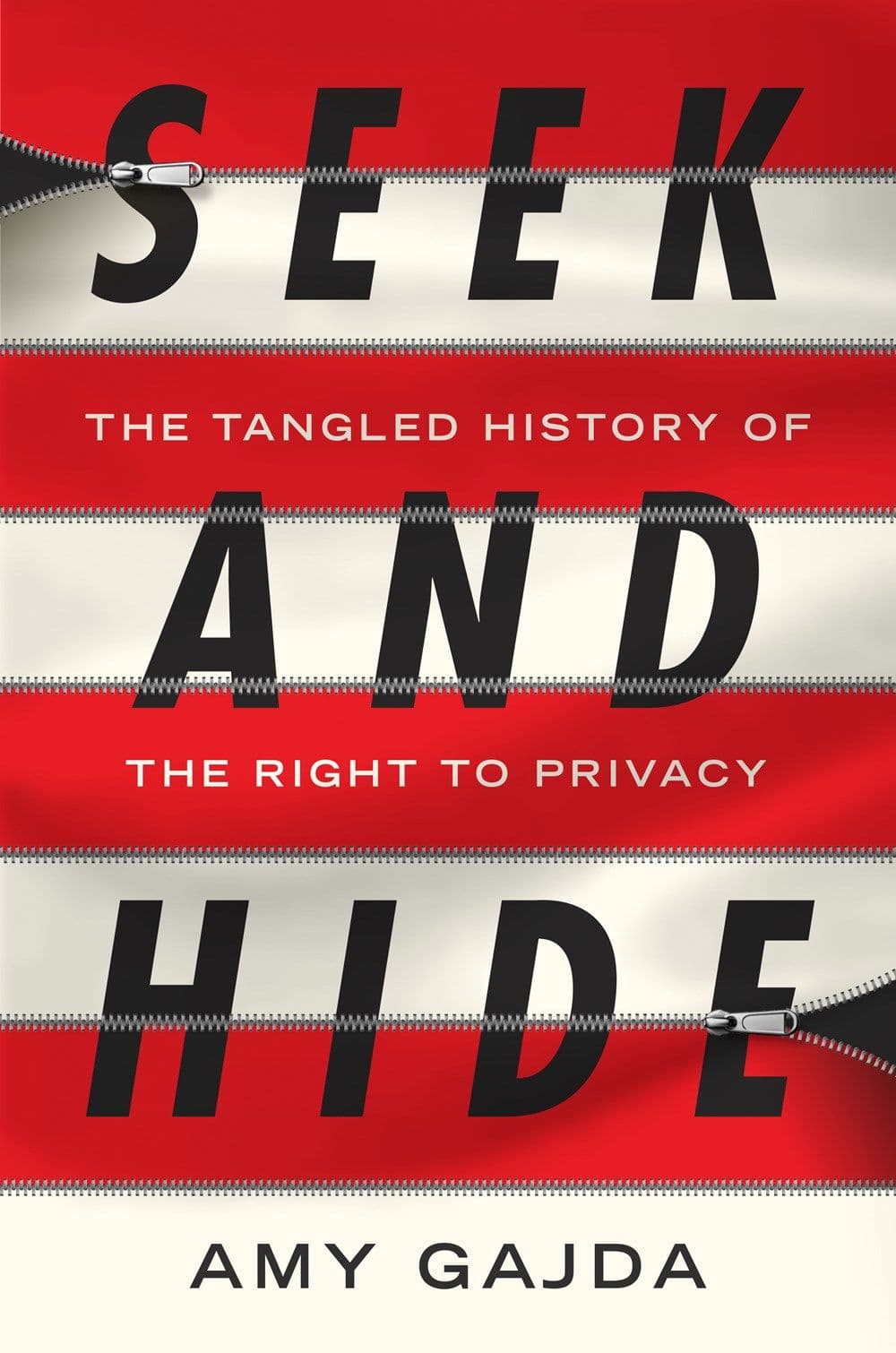 Seek and Hide book cover