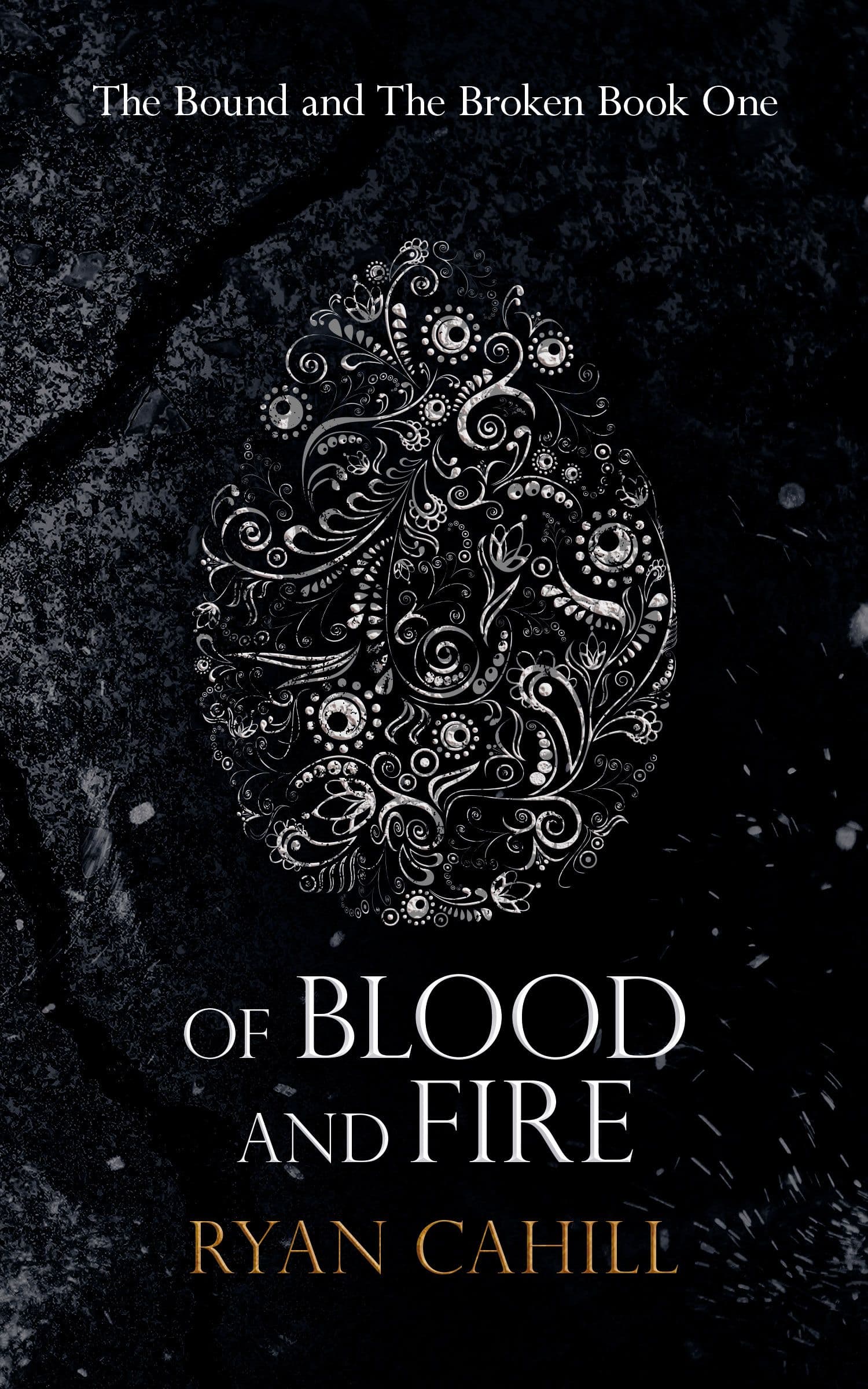 The Bound and the Broken book cover