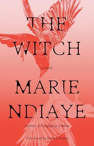 The Witch book cover