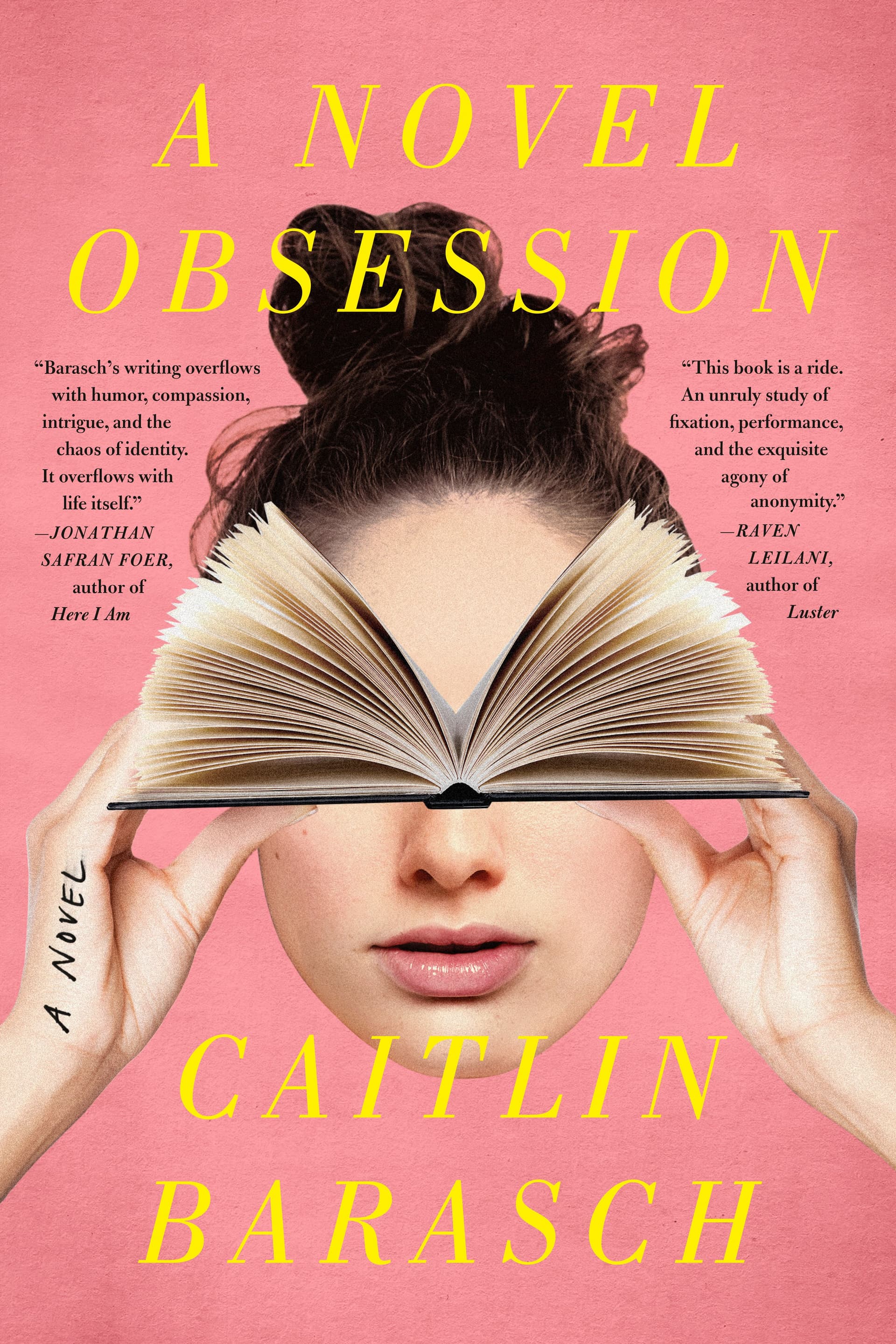 A Novel Obsession book cover