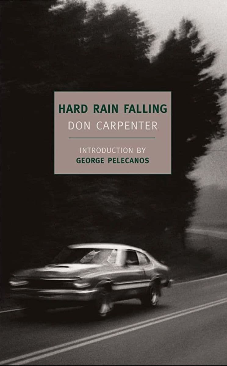 Hard Rain Falling book cover