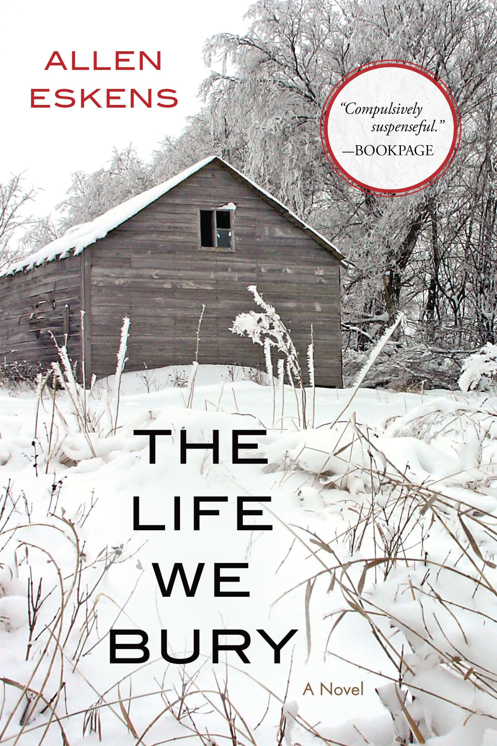 The Life We Bury book cover