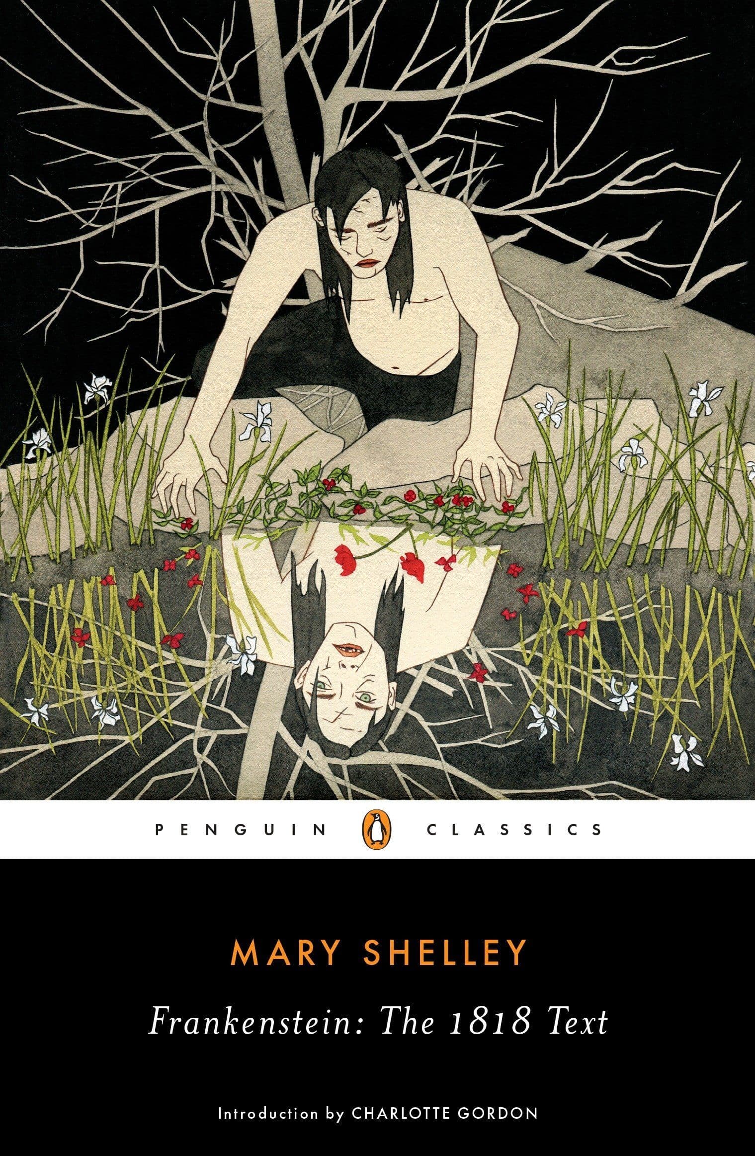 Frankenstein book cover